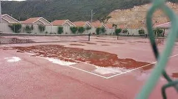 ***  The Oasis Golf Retreat 호텔 Spanish Town 자메이카